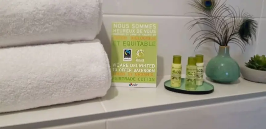 Superior Tek Büyük Yataklı Oda, Özel Banyo, Şehir Manzaralı (Gex)