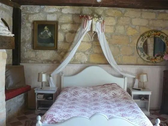 Standard Tek Büyük Yataklı Oda, Banyolu/Duşlu, Bahçe Manzaralı