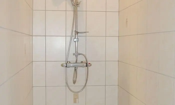 Tek Büyük Yataklı Oda (Ovalie)