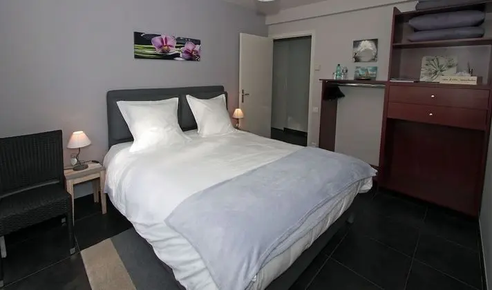 Tek Büyük Yataklı Oda, Sigara İçilmez, Bahçe Manzaralı (Harmonie)