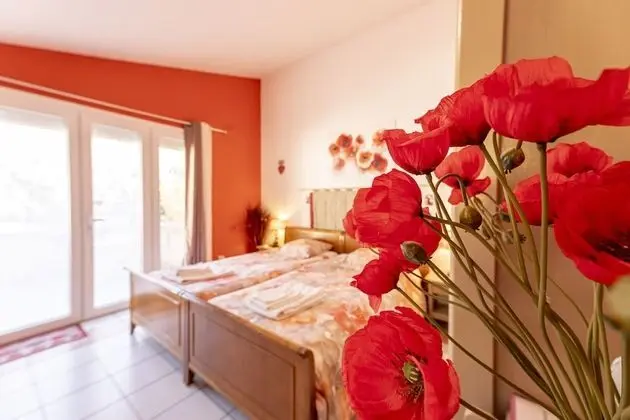 Oda, Sigara İçilmez, Dağ Manzaralı (Coquelicot)