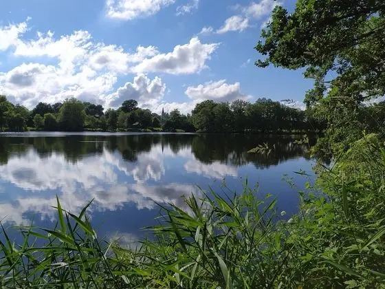 Comfort Kulübe, Sigara İçilmez, Bahçe Manzaralı