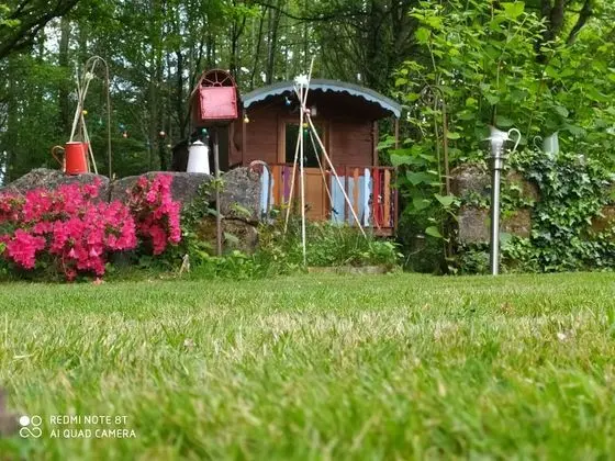 Comfort Kulübe, Sigara İçilmez, Bahçe Manzaralı