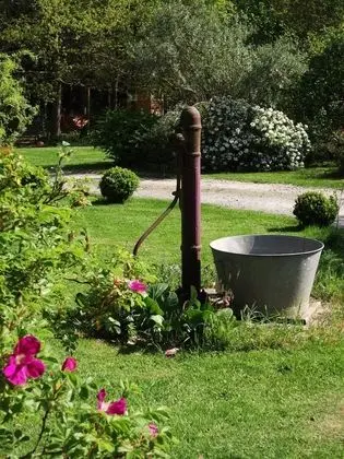 Comfort Kulübe, Sigara İçilmez, Bahçe Manzaralı