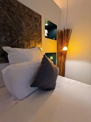 Luxury Tek Büyük Yataklı Oda, Banyolu/Duşlu, Bahçe Manzaralı (Chambre Zen)