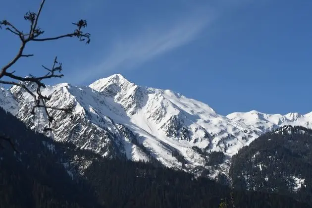 Tek Büyük Yataklı Oda (Mont Blanc)