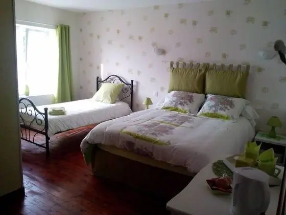 Tek Büyük Yataklı Oda (Nature)