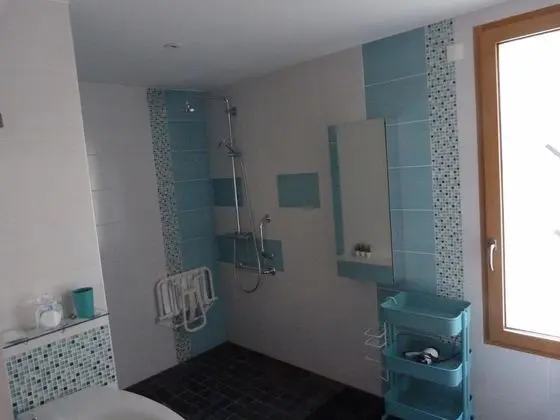 Superior Tek Büyük veya İki Ayrı Yataklı Oda, Bahçe Manzaralı