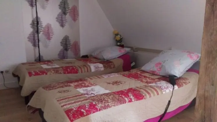 Tek Büyük veya İki Ayrı Yataklı Oda, Bahçe Manzaralı