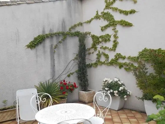 Tek Büyük Yataklı Oda (Safari)