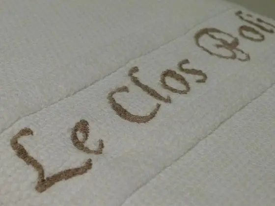 Luxury Süit, Özel Banyo (Montignassienne )