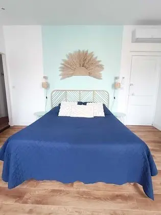 Tek Büyük Yataklı Oda (La Basque)