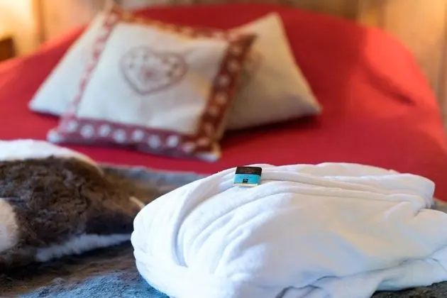 Tek Büyük Yataklı Oda (Vercors)