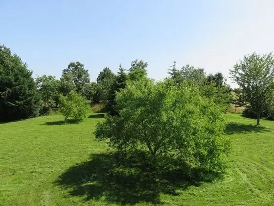 Tek Büyük Yataklı Oda (Le Canal)