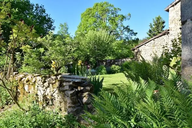 Family Oda (Dentellière)