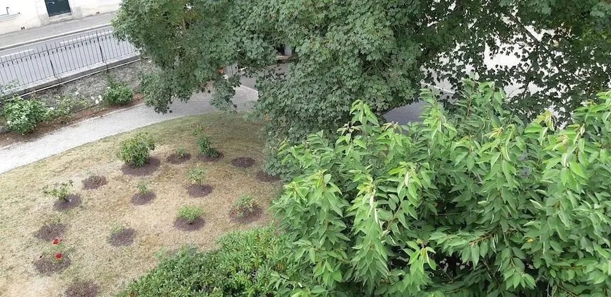 Family Süit, 2 Yatak Odası (Bambous)