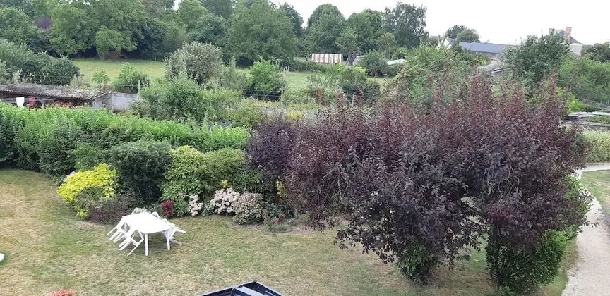 Luxury Süit, 2 Yatak Odası (Orchidées)