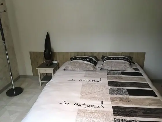 Comfort Tek Büyük veya İki Ayrı Yataklı Oda, Özel Banyo, Zemin Kat