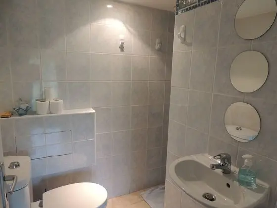 Panoramic Tek Büyük Yataklı Oda, 1 Çift Kişilik Yatak, Özel Banyo, Bahçe Manzaralı (Rez de Jardin)