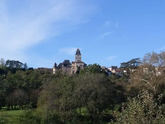 Panoramic Tek Büyük Yataklı Oda, 1 Çift Kişilik Yatak, Özel Banyo, Bahçe Manzaralı (Rez de Jardin)