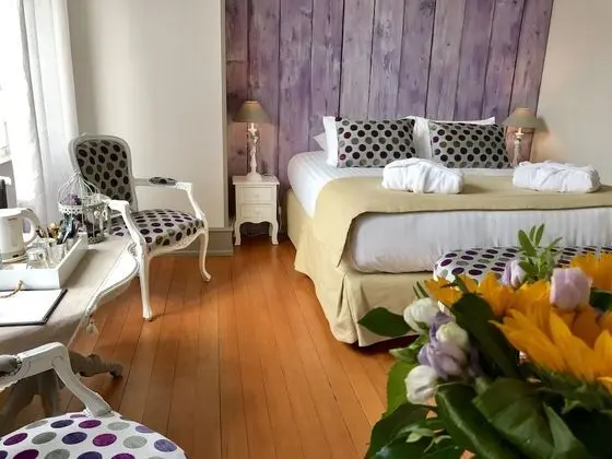 Comfort Tek Büyük Yataklı Oda, Banyolu/Duşlu (Améthyste)