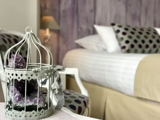 Comfort Tek Büyük Yataklı Oda, Banyolu/Duşlu (Améthyste)