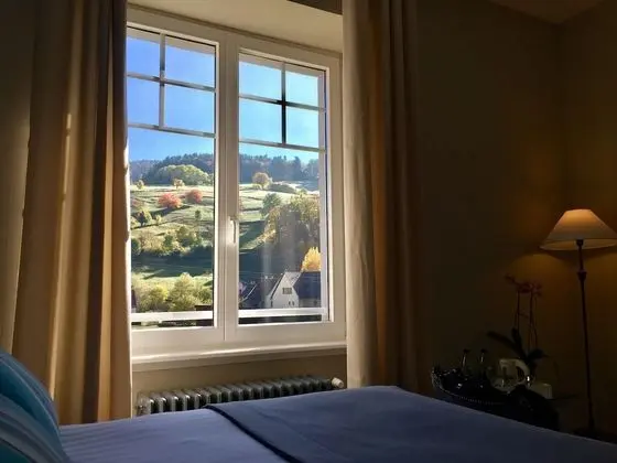 Standard Tek Büyük Yataklı Oda, Banyolu/Duşlu (Célestine)