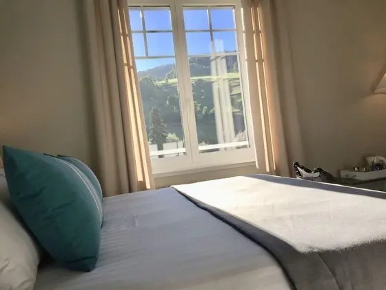 Standard Tek Büyük Yataklı Oda, Banyolu/Duşlu (Célestine)