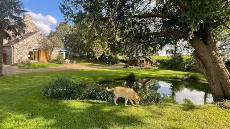 Comfort Tek Büyük Yataklı Oda, Sigara İçilmez, Bahçe Manzaralı (Anglaise)