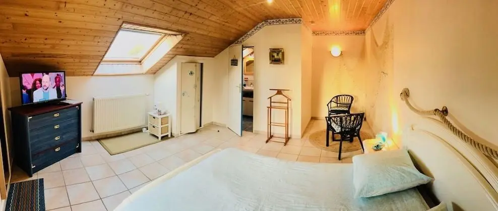 Superior Tek Büyük Yataklı Oda, Sigara İçilmez, Park Manzaralı (Marine)