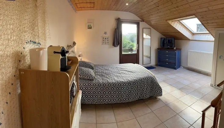 Superior Tek Büyük Yataklı Oda, Sigara İçilmez, Park Manzaralı (Marine)