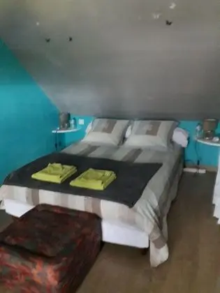 Tek Büyük Yataklı Oda (Bleue)