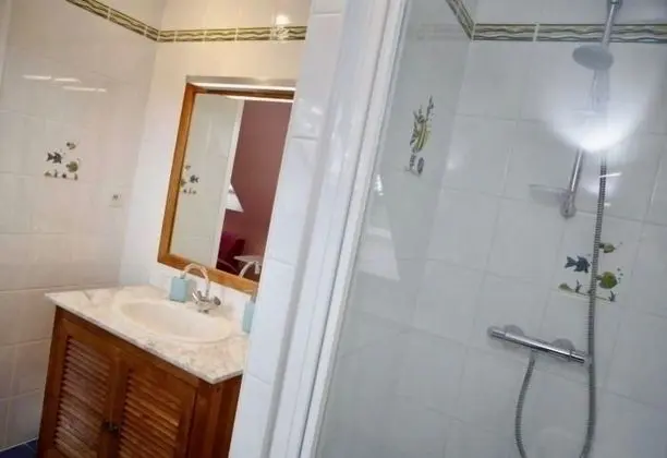 Tek Büyük Yataklı Oda (Les Hortensias)