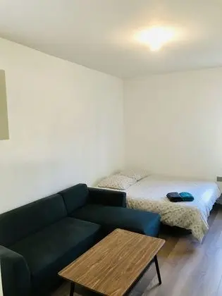 Standard Tek Büyük Yataklı Oda, 1 Büyük (Queen) Boy Yatak, Sigara İçilmez (Zen et Cocoon 3)