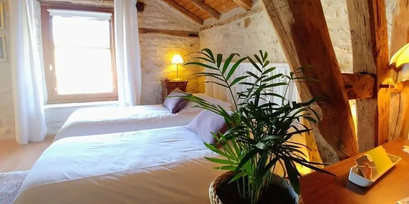 Comfort Tek Büyük Yataklı Oda, 1 Büyük (Queen) Boy Yatak, Özel Banyo, Park Manzaralı
