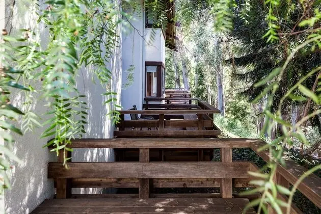 Premium King Suite Forest View with Patio