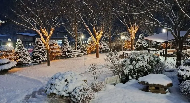Basic Oda, 1 Yatak Odası, Dağ Manzaralı (3)