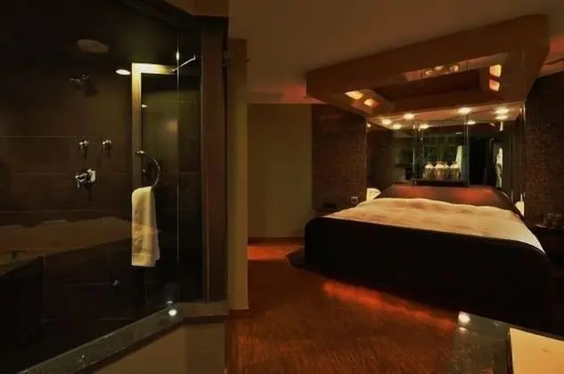 Premium Süit, 1 En Büyük (King) Boy Yatak, Sigara İçilmez (Adults Only)