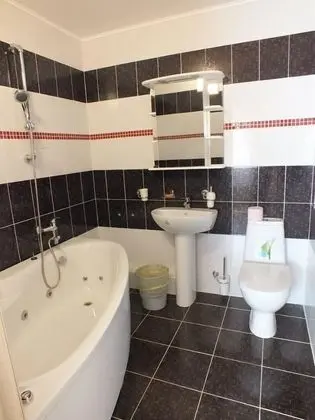 Süit