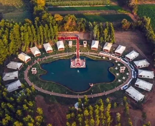 Royal Çadır