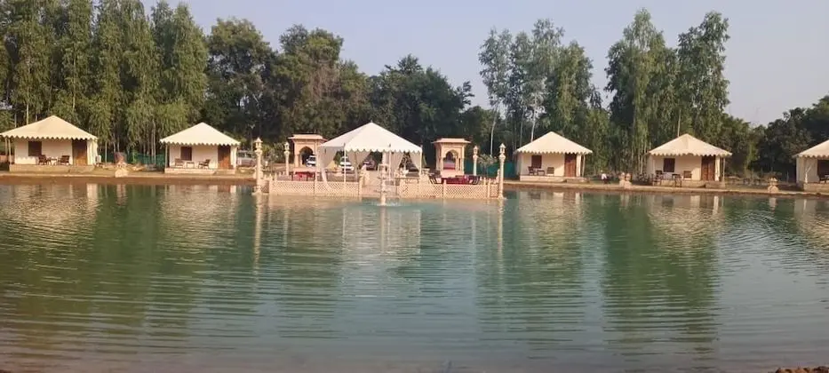 Royal Çadır