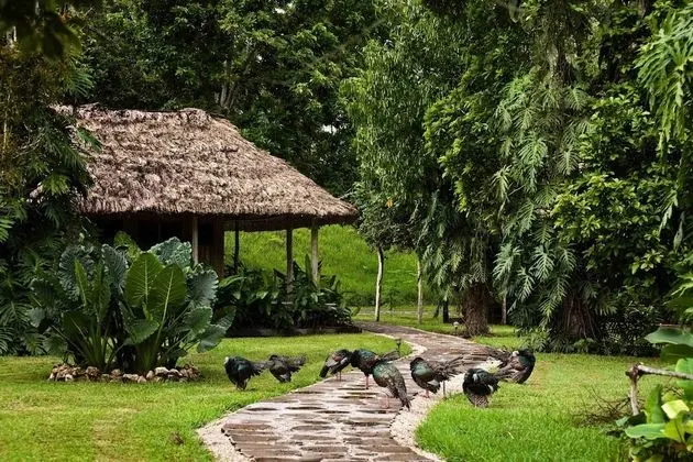 Deluxe Kır Evi, 2 Büyük (Queen) Boy Yatak, Bahçeli