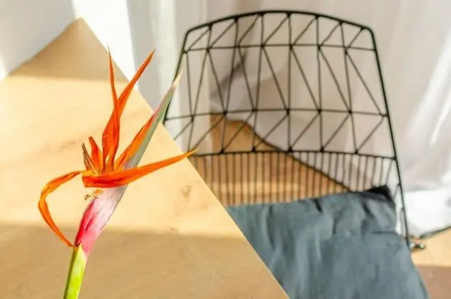 Design Apart Daire (B)