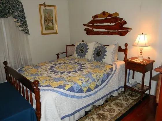 Standard Tek Büyük Yataklı Oda, Banyolu/Duşlu (The Blue Ridge Room )