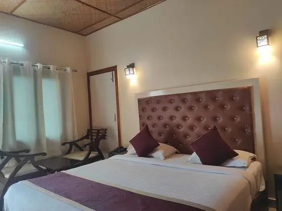 Deluxe Stüdyo, 1 En Büyük (King) Boy Yatak