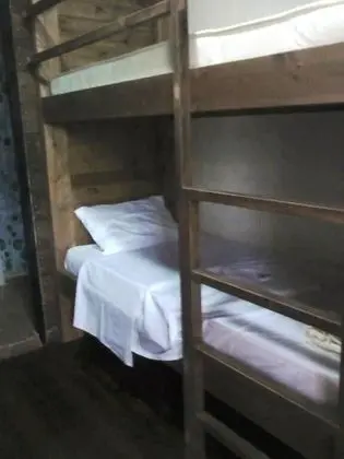 Basic Ortak Ranzalı Oda, Bahçe Manzaralı