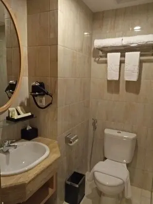 Premier Oda, 2 Tek Kişilik Yatak, Sigara İçilmez