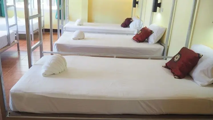 Bed in 12 Bed Mixed Dormitory room