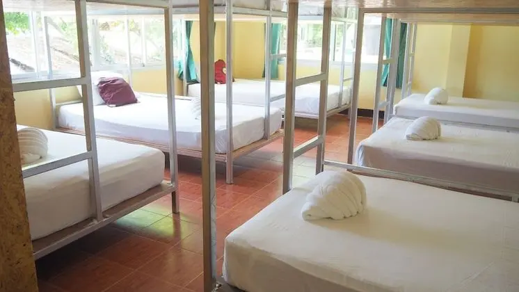 Bed in 12 Bed Mixed Dormitory room