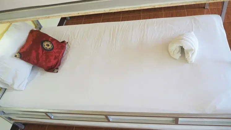 Bed in 12 Bed Mixed Dormitory room
